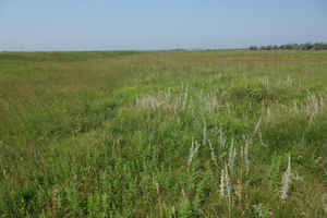 Todd County, South Dakota Landscape